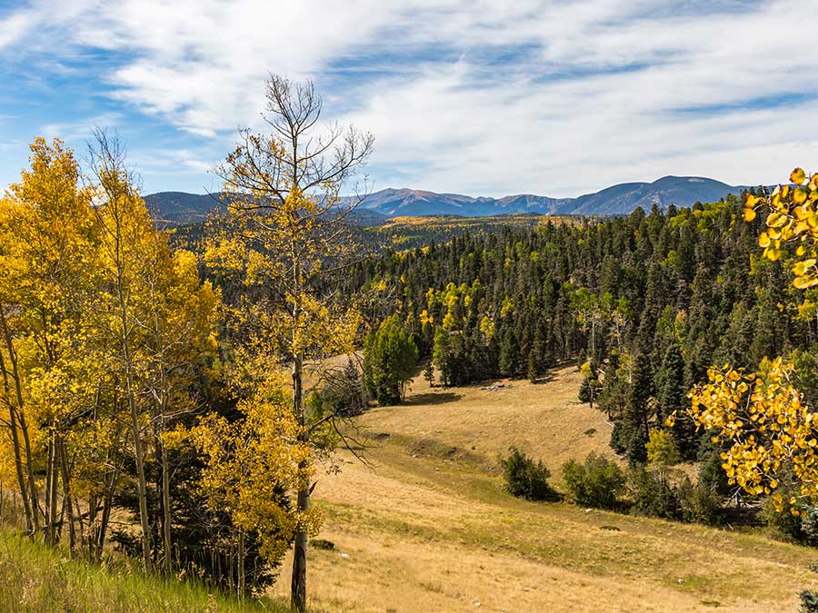 Trees turning to autumn colors on rocky mountains Colorado