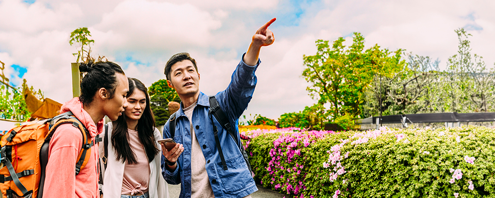 Group of tourists checking their phone