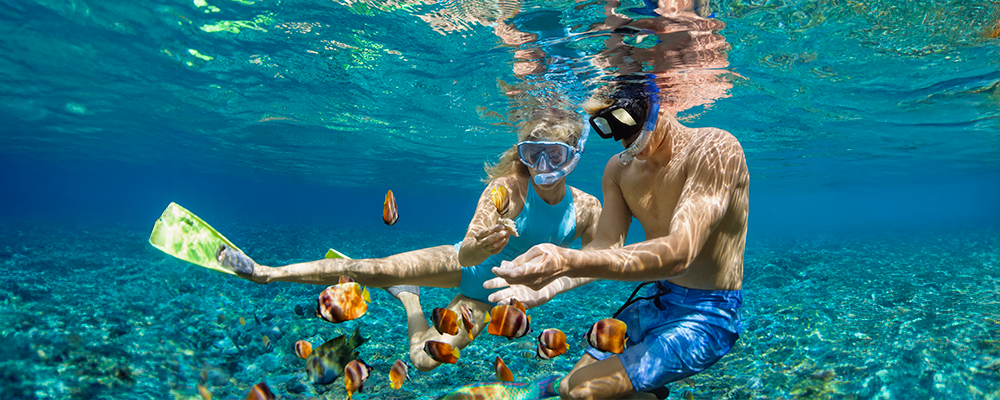 People snorkling