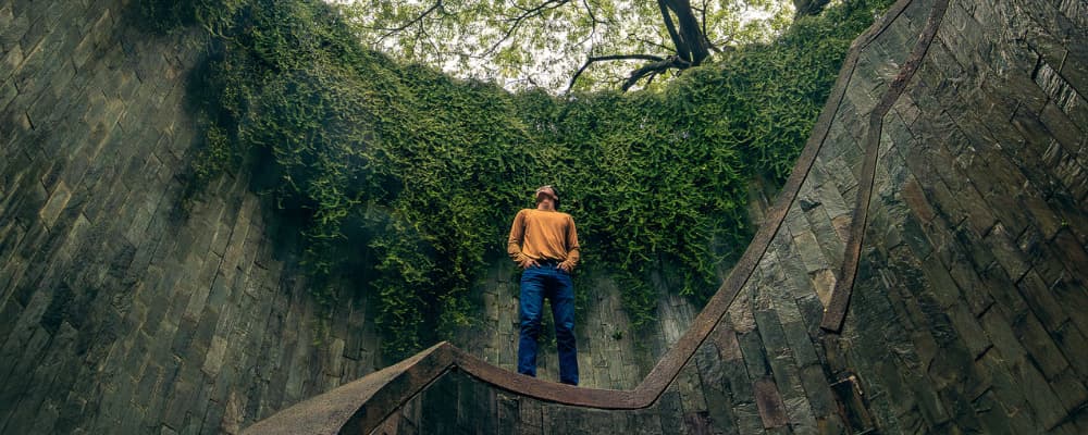 Fort Canning Tree Tunnel, Singapore