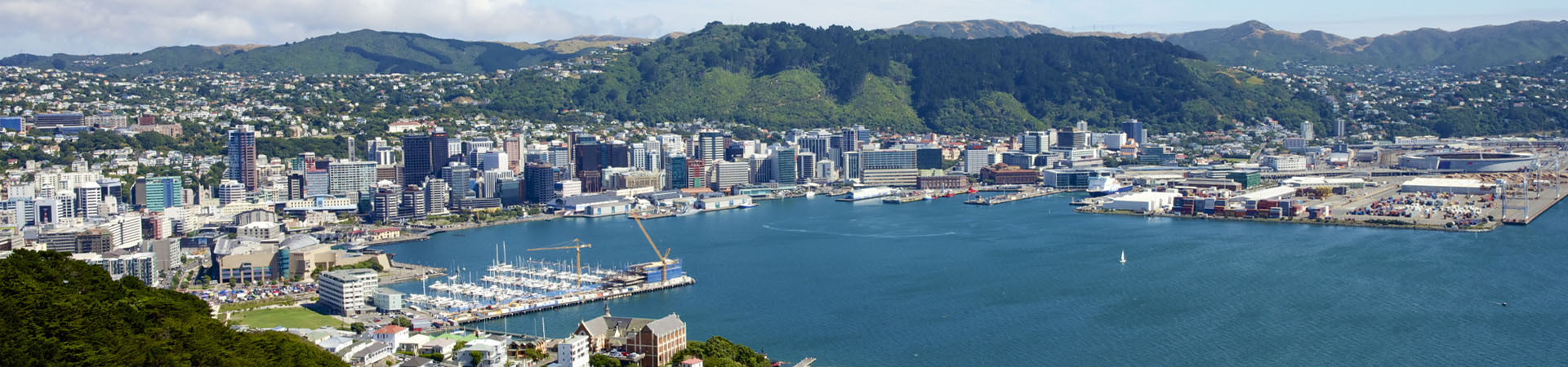 View of Wellingtons city center from above
