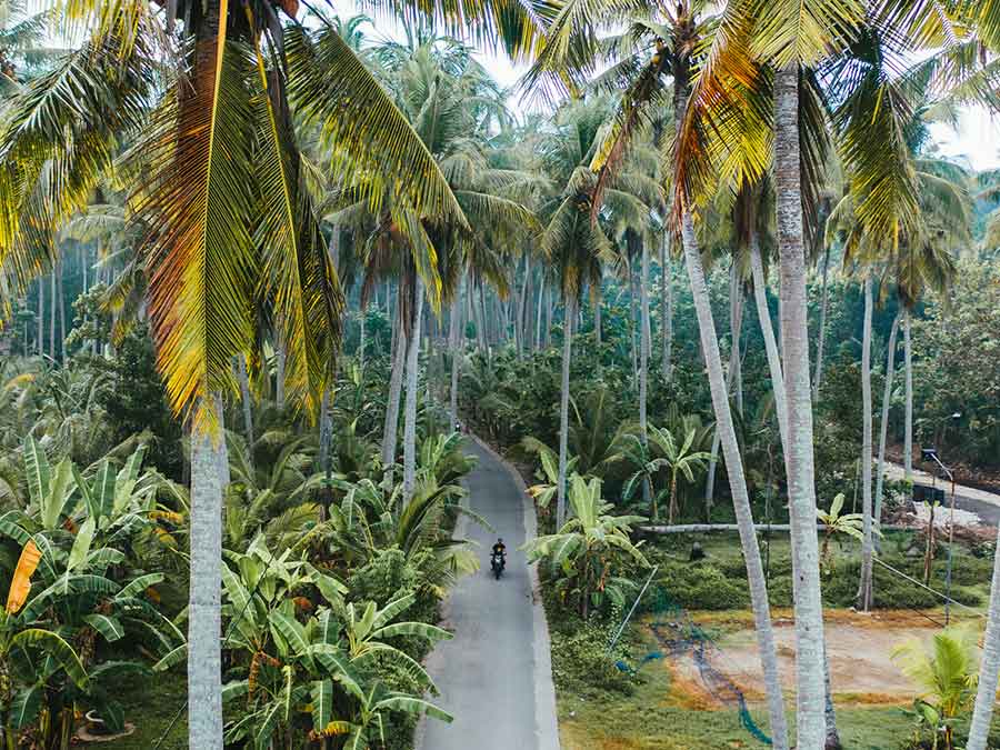 Scenic aerial view of woman driving scooter in the jungles on Nusa Penida 